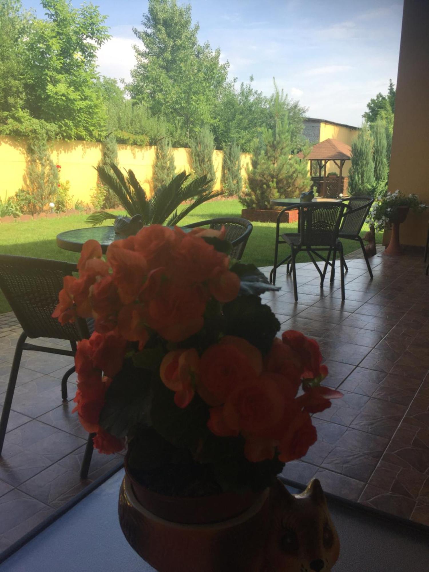 Villa Fenix Berehowo Zewnętrze zdjęcie