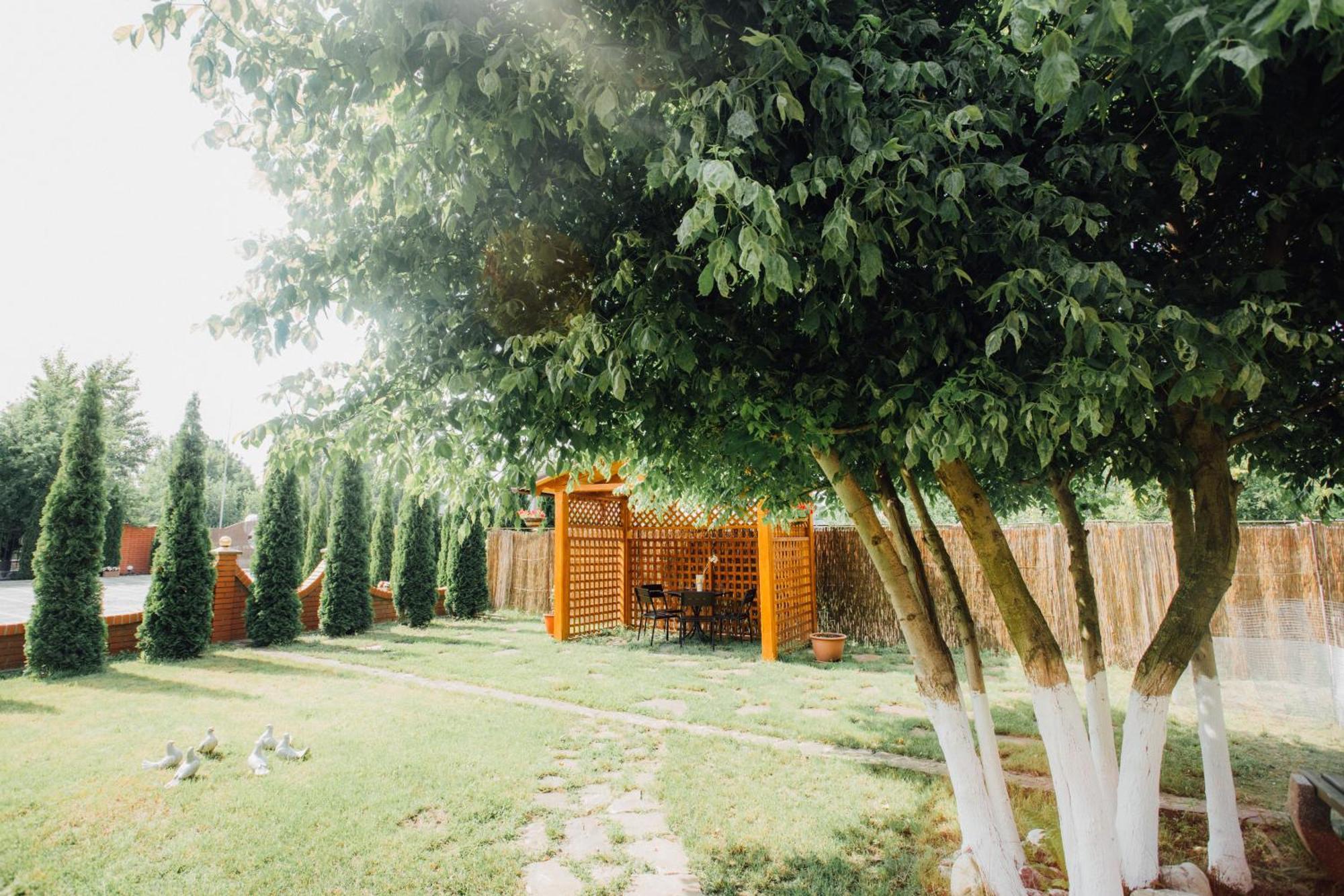 Villa Fenix Berehowo Zewnętrze zdjęcie