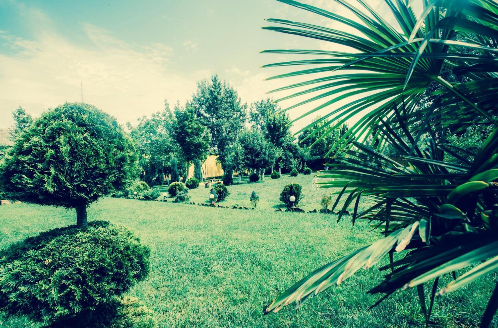 Villa Fenix Berehowo Zewnętrze zdjęcie